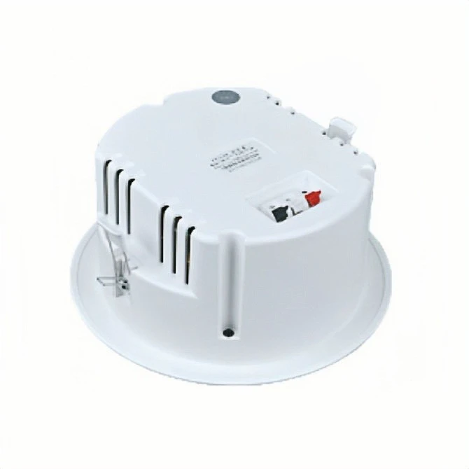 Indoor Ceiling Speakers
